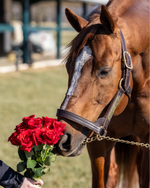 Send a rose to a Kentucky Derby winner 🌹