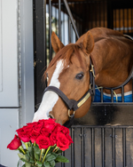 Send a rose to a Kentucky Derby winner 🌹
