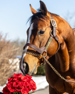 Send a rose to a Kentucky Derby winner 🌹