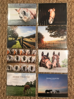 Visit Horse Country Postcard Pack