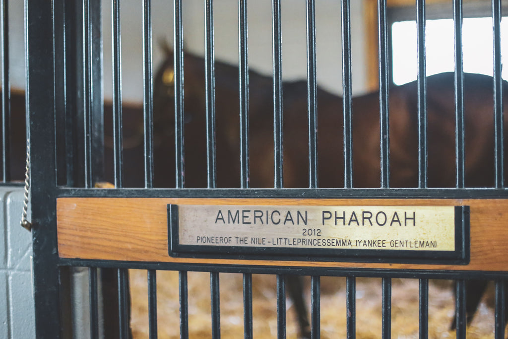 American Pharoah Name Plate - Matted Prints